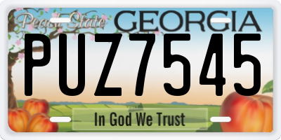 GA license plate PUZ7545