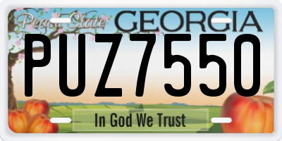 GA license plate PUZ7550