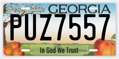 GA license plate PUZ7557