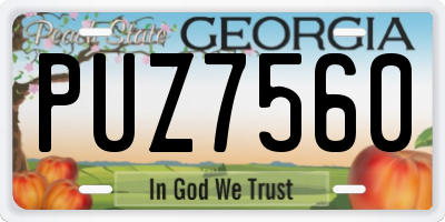 GA license plate PUZ7560