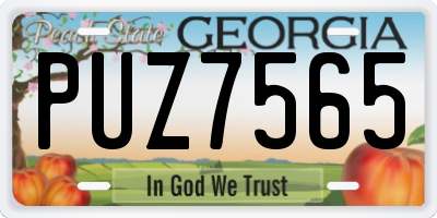 GA license plate PUZ7565