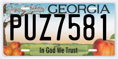 GA license plate PUZ7581