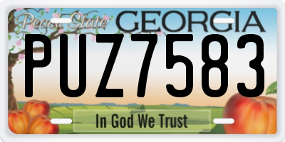 GA license plate PUZ7583