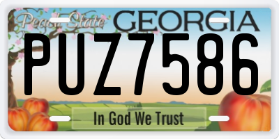GA license plate PUZ7586
