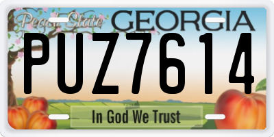GA license plate PUZ7614