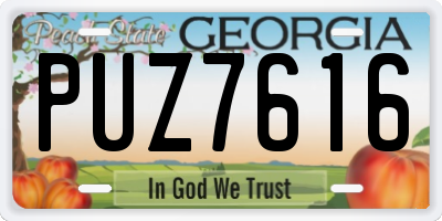 GA license plate PUZ7616