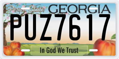 GA license plate PUZ7617