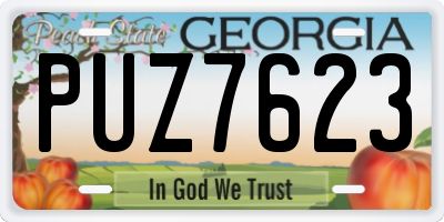 GA license plate PUZ7623