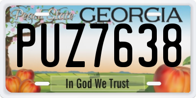 GA license plate PUZ7638