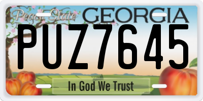 GA license plate PUZ7645