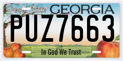 GA license plate PUZ7663