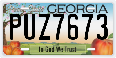 GA license plate PUZ7673