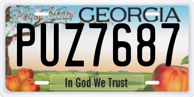 GA license plate PUZ7687