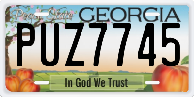 GA license plate PUZ7745