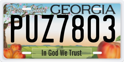 GA license plate PUZ7803