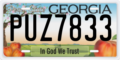 GA license plate PUZ7833
