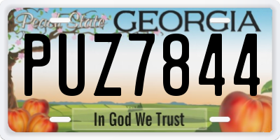 GA license plate PUZ7844