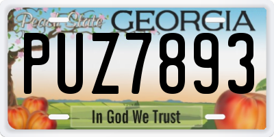 GA license plate PUZ7893