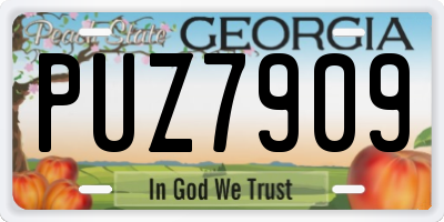 GA license plate PUZ7909