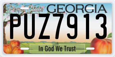 GA license plate PUZ7913