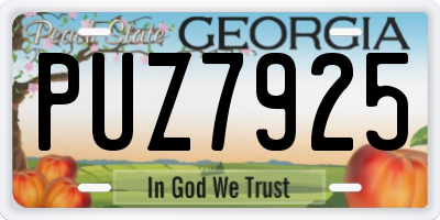 GA license plate PUZ7925