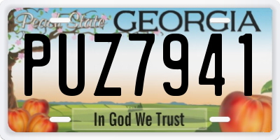 GA license plate PUZ7941