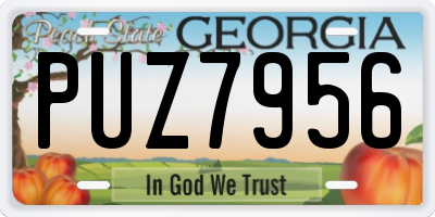 GA license plate PUZ7956