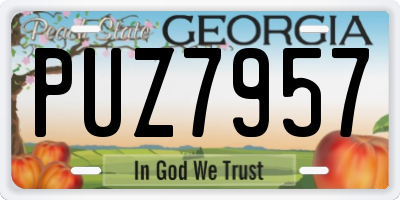GA license plate PUZ7957