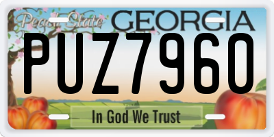 GA license plate PUZ7960