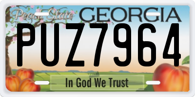 GA license plate PUZ7964