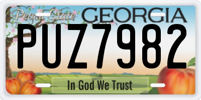 GA license plate PUZ7982