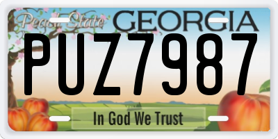 GA license plate PUZ7987