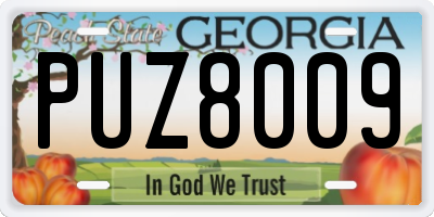 GA license plate PUZ8009