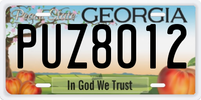 GA license plate PUZ8012