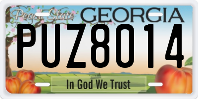 GA license plate PUZ8014