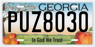 GA license plate PUZ8030