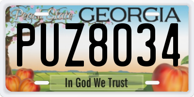 GA license plate PUZ8034