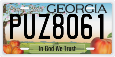 GA license plate PUZ8061