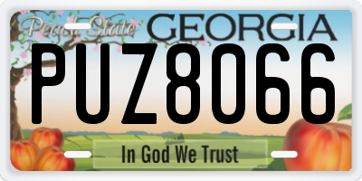 GA license plate PUZ8066