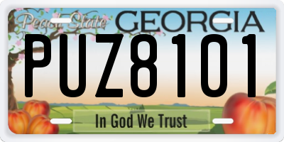 GA license plate PUZ8101