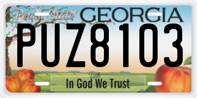 GA license plate PUZ8103