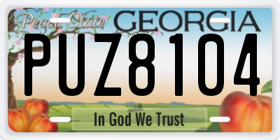 GA license plate PUZ8104