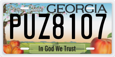 GA license plate PUZ8107