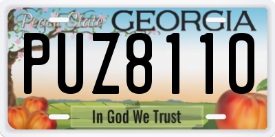 GA license plate PUZ8110