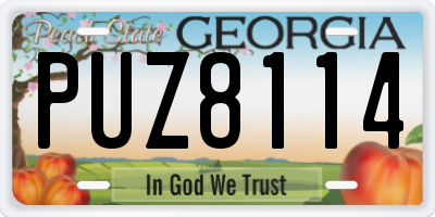 GA license plate PUZ8114