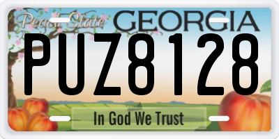 GA license plate PUZ8128