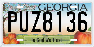 GA license plate PUZ8136
