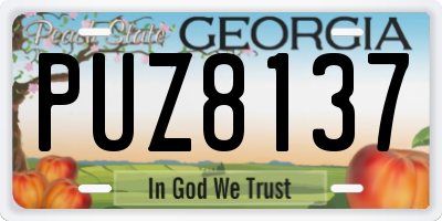 GA license plate PUZ8137