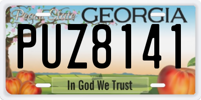 GA license plate PUZ8141