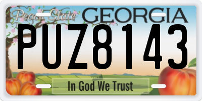 GA license plate PUZ8143